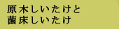 原木しいたけと菌床しいたけ