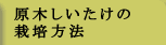 原木しいたけの栽培方法