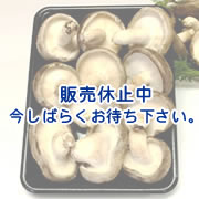 uU[Y@@傫߁@ӂ낢