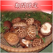 �t�q��������